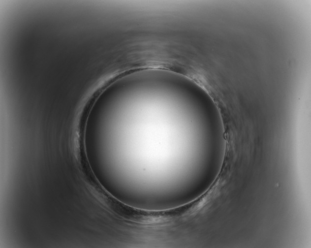X0000088700342200706071544
