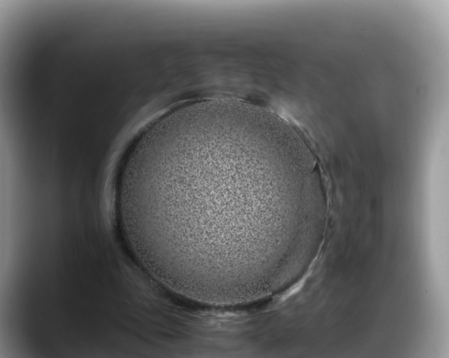 X0000088700343200706071544