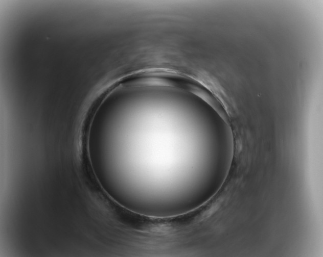 X0000088700344200706071544