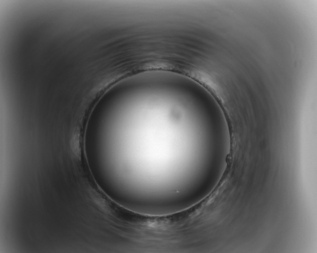 X0000088700345200706071544