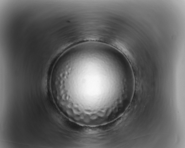 X0000088700346200706071544