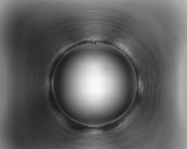 X0000088700348200706071544