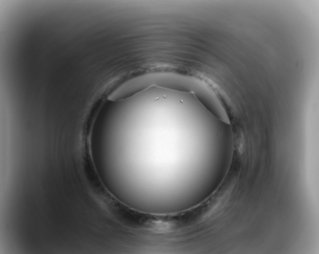 X0000088700352200706071544