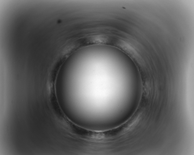 X0000088700355200706071544