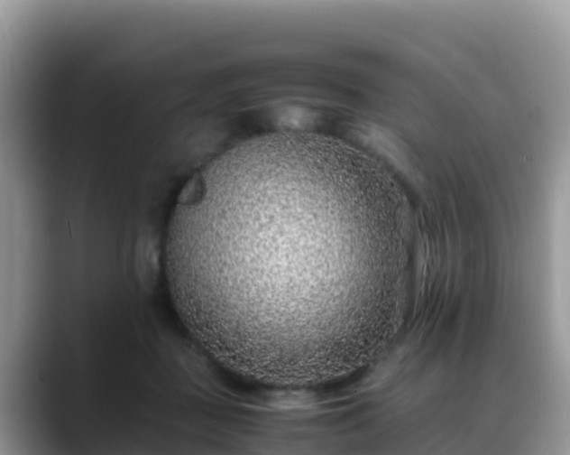 X0000088700363200706071544