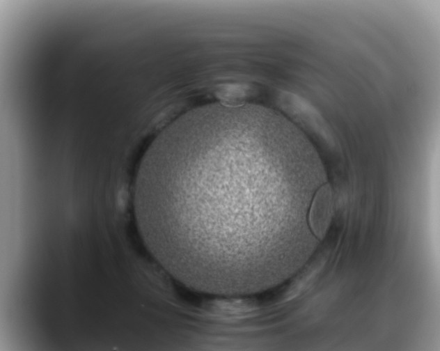 X0000088700367200706071544