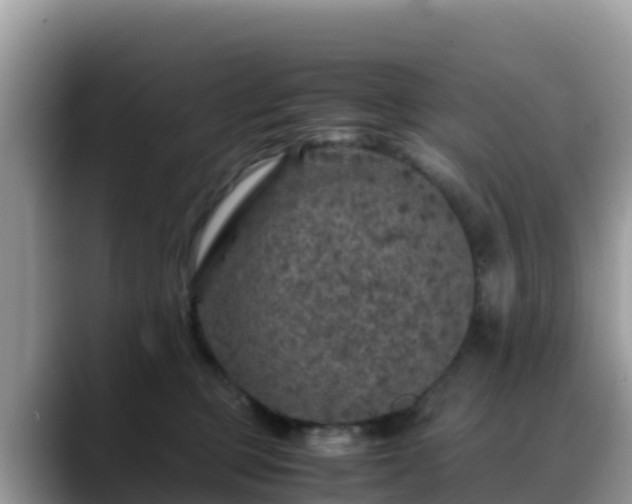 X0000088700373200706071544