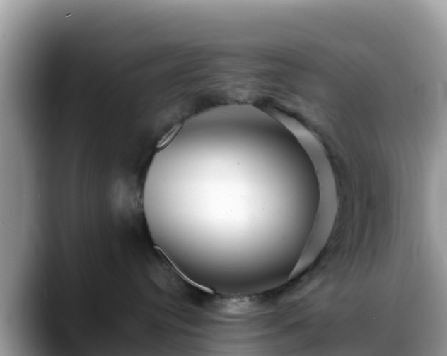 X0000088700384200706071545