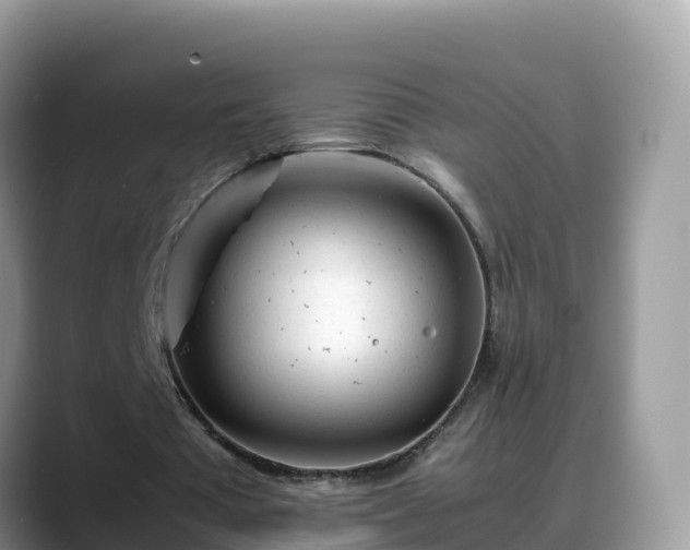 X0000088700385200706071544
