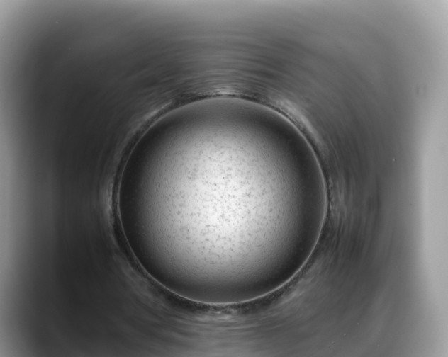 X0000088700386200706071544