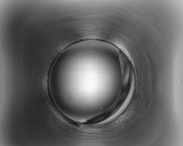 X0000088700389200706071544