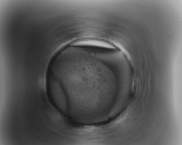 X0000088700391200706071544