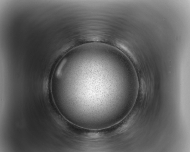 X0000088700394200706071544