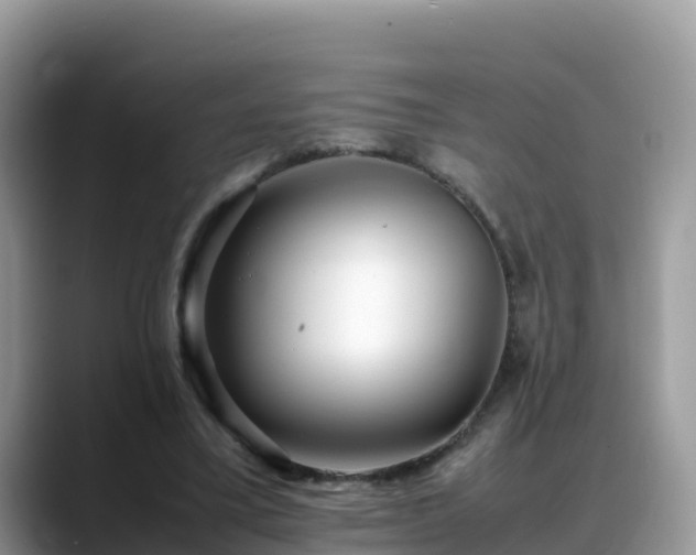 X0000088700395200706071544