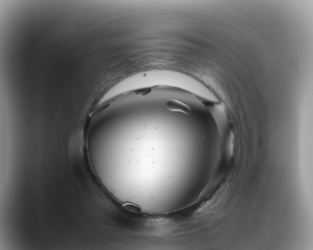 X0000088700397200706071544