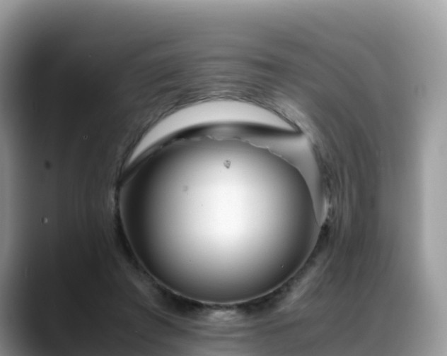 X0000088700401200706071544