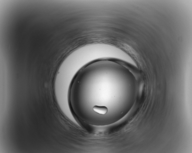 X0000088700405200706071544