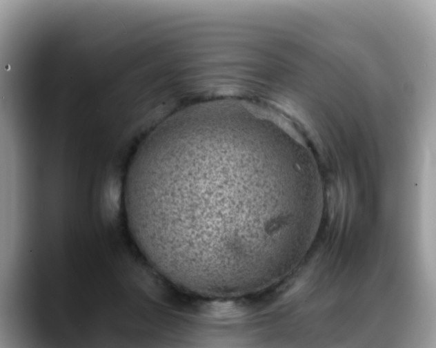 X0000088700406200706071544