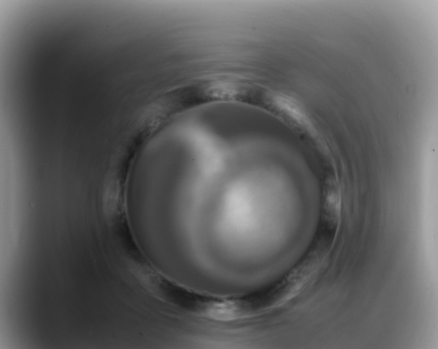 X0000088700411200706071544