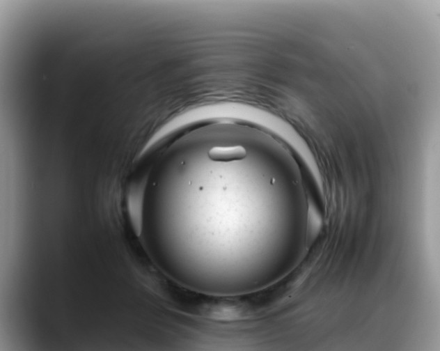 X0000088700412200706071544