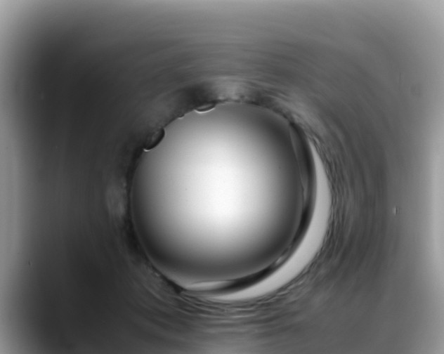 X0000088700413200706071544