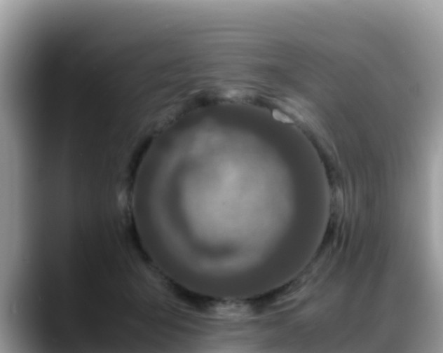 X0000088700415200706071543