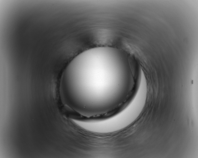 X0000088700416200706071543