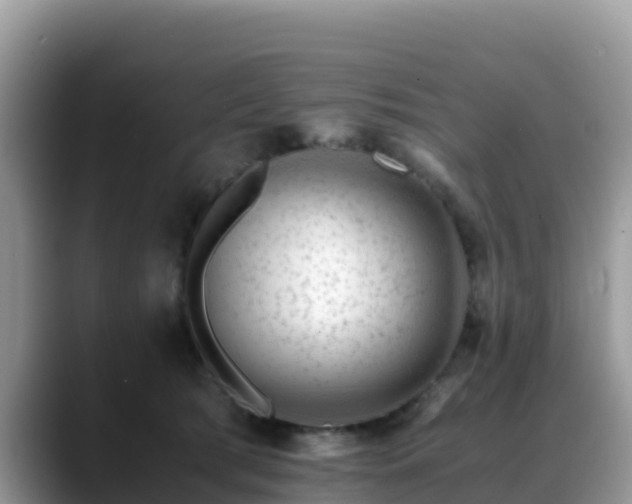 X0000088700417200706071543