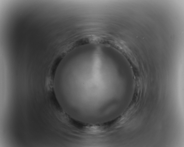 X0000088700419200706071543