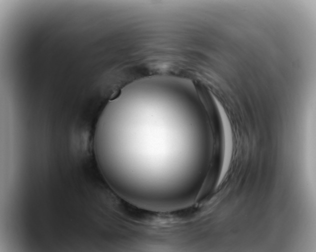 X0000088700420200706071543