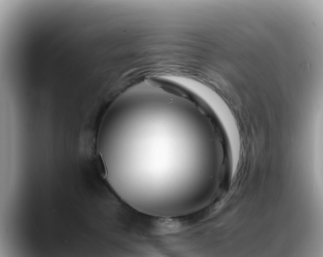 X0000088700421200706071543