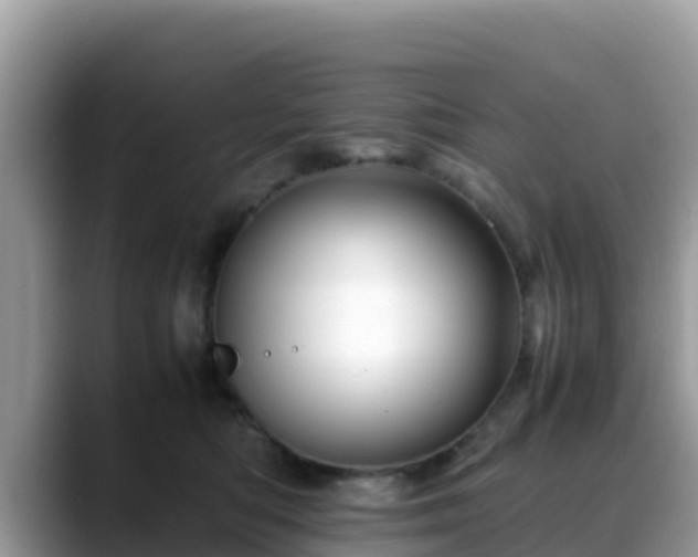 X0000088700422200706071543
