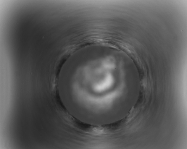 X0000088700423200706071543