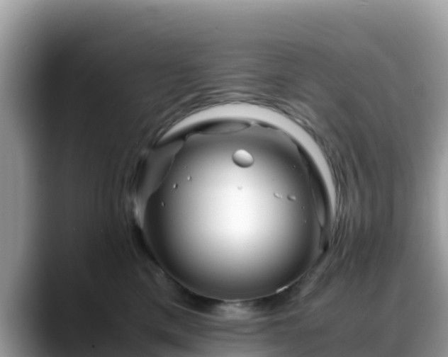 X0000088700425200706071543