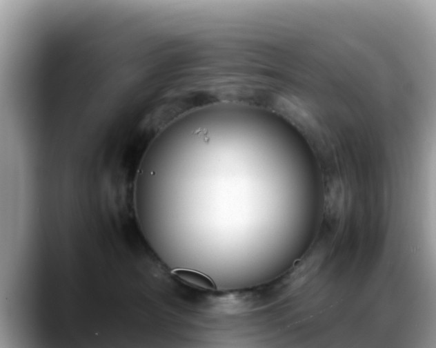 X0000088700430200706071543