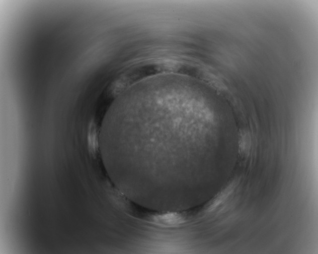 X0000088700431200706071543