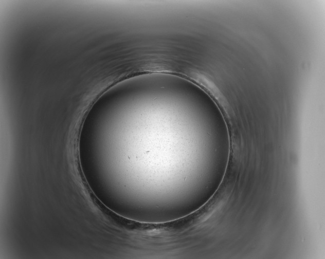 X0000088700433200706071543