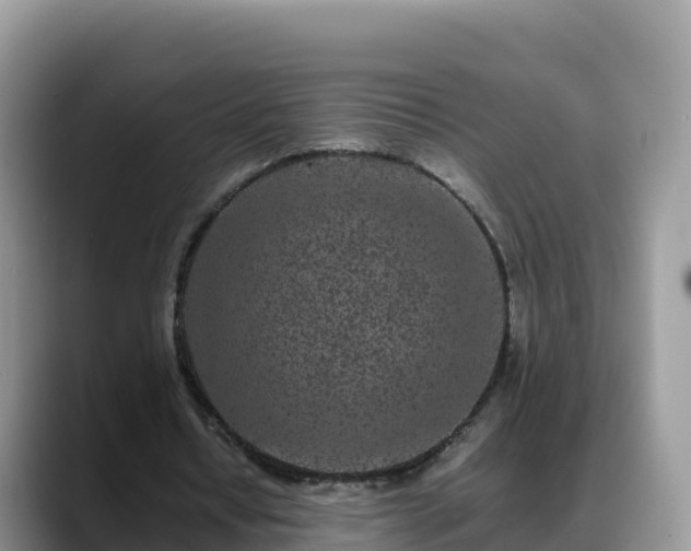 X0000088700434200706071543