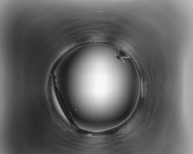 X0000088700435200706071543