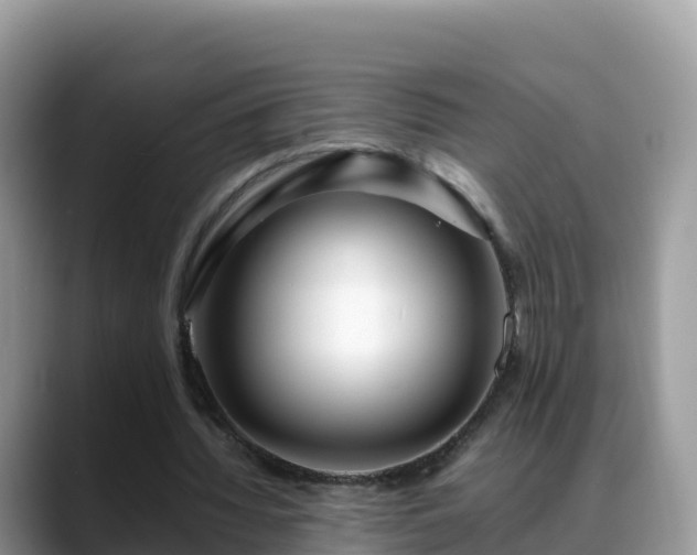 X0000088700436200706071543