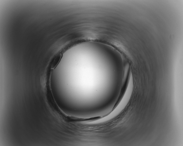 X0000088700440200706071543