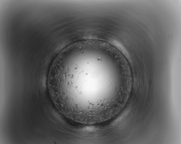X0000088700441200706071543