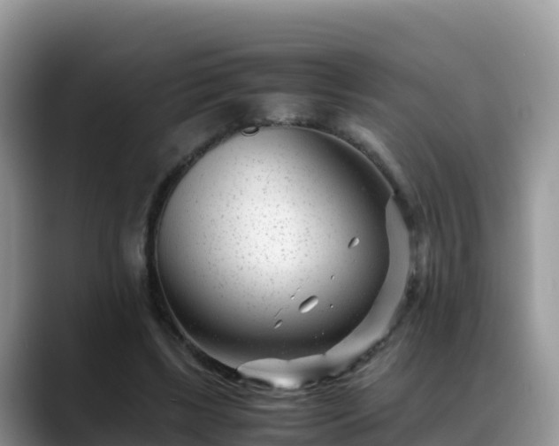 X0000088700443200706071543