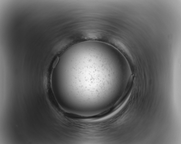X0000088700444200706071543