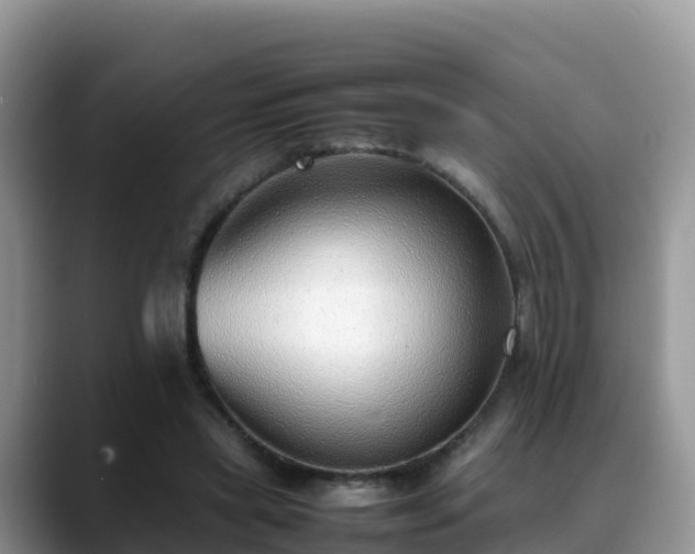 X0000088700445200706071543