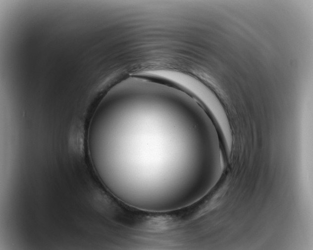 X0000088700446200706071543