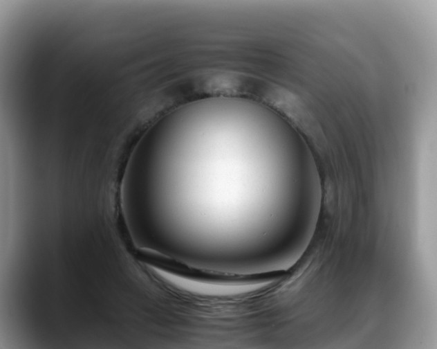 X0000088700449200706071543