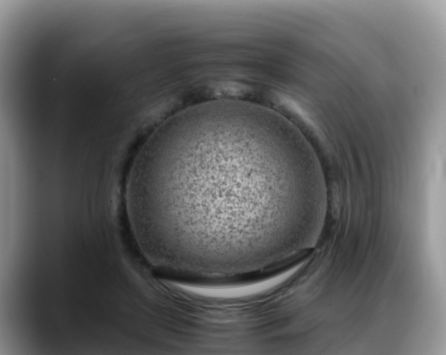 X0000088700451200706071543