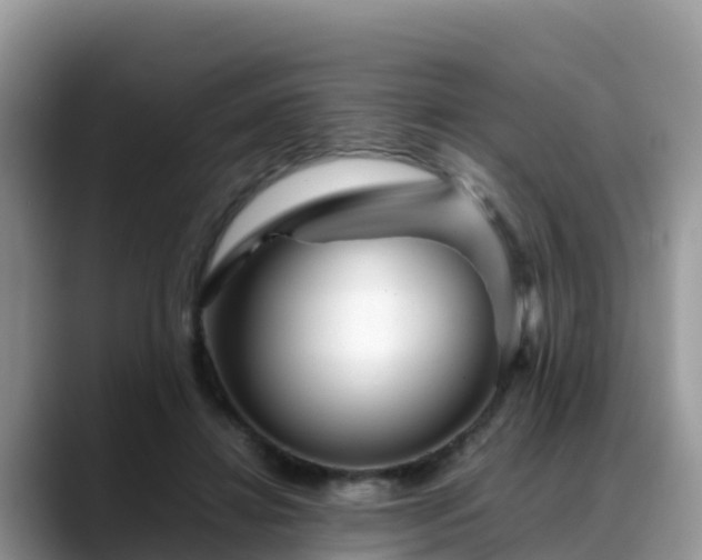 X0000088700452200706071543