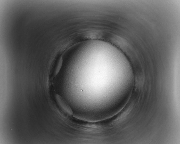 X0000088700453200706071543